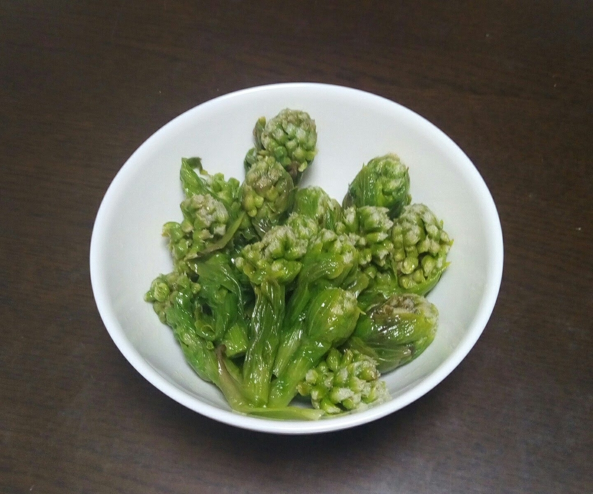 ふきのとうのおひたし
