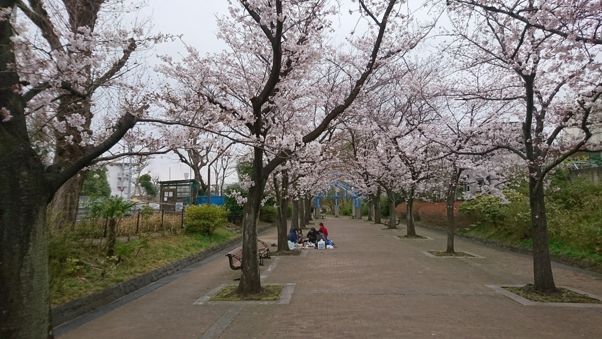曇天の花見風景