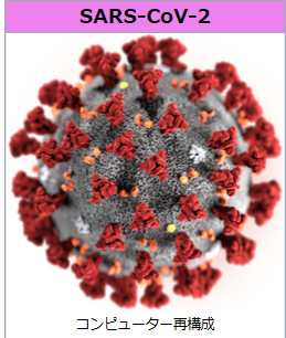 新型コロナウイルス