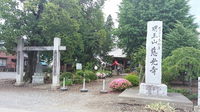 f:id:mako_pee:20151128195855j:plain