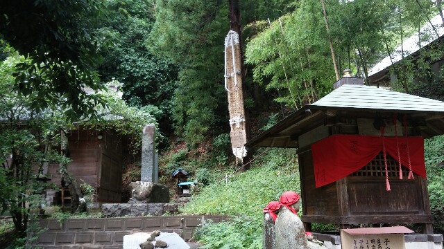 f:id:mako_pee:20160313215201j:plain