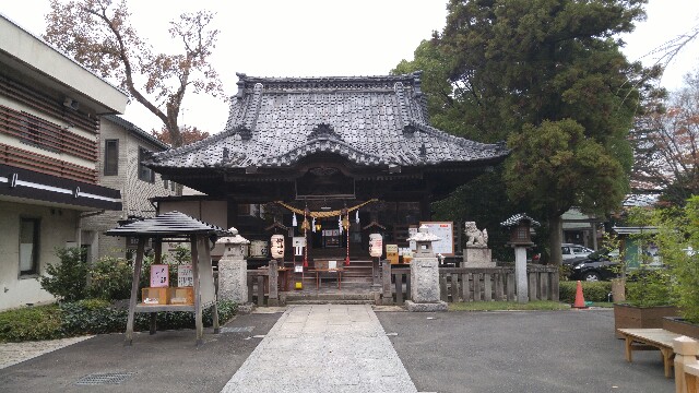 f:id:mako_pee:20160704142118j:plain f:id:mako_pee:20160704142118j:plain