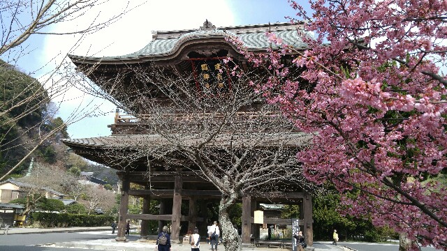 f:id:mako_pee:20161213070803j:plain f:id:mako_pee:20161213070803j:plain