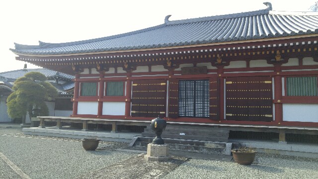 f:id:mako_pee:20170116215118j:plain f:id:mako_pee:20170116215118j:plain