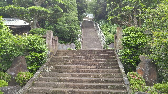 f:id:mako_pee:20170325212650j:plain