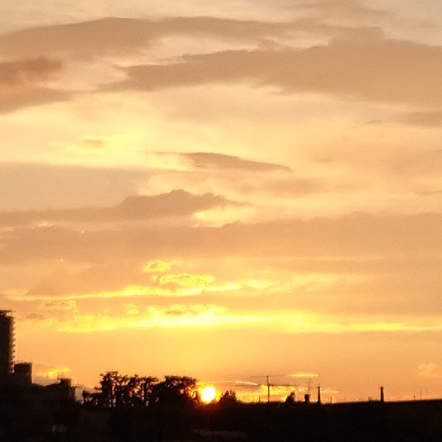 f:id:makoako:20210711233112j:plain