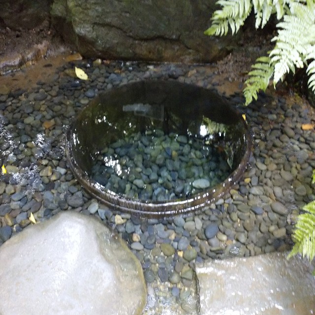 f:id:makoako:20210730183250j:plain