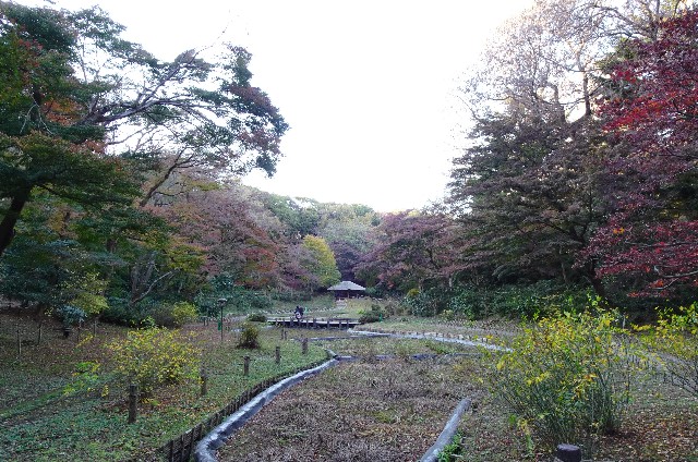 f:id:makoako:20210731005250j:plain