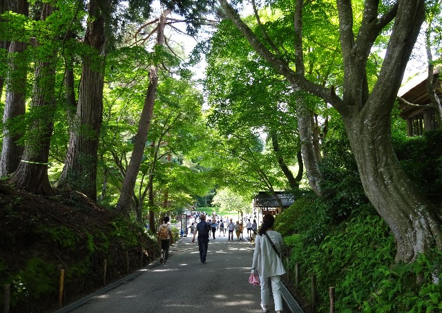 f:id:makoako:20210831070714j:plain