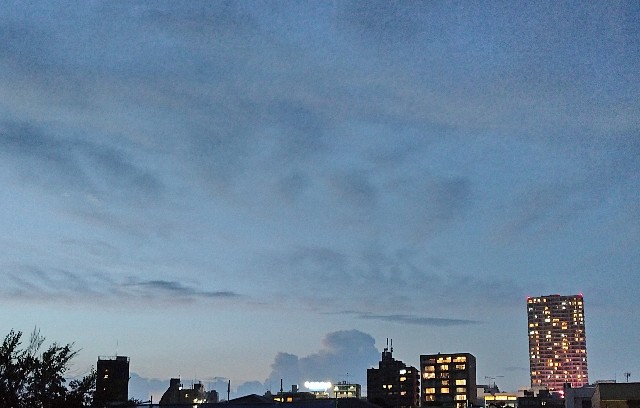 f:id:makoako:20210901120942j:plain