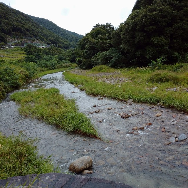 f:id:makoako:20210907125840j:plain