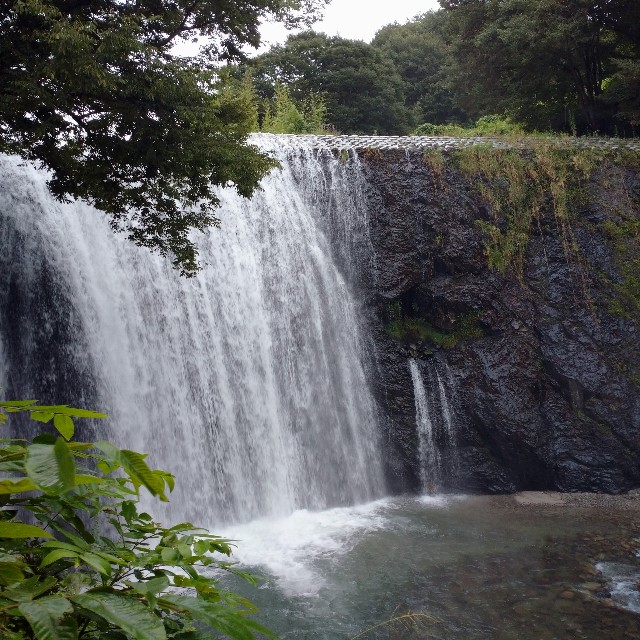 f:id:makoako:20210907125851j:plain