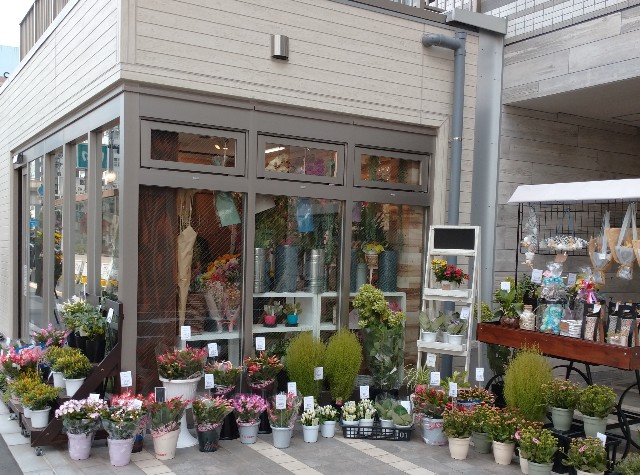 f:id:makoako:20210912010256j:plain