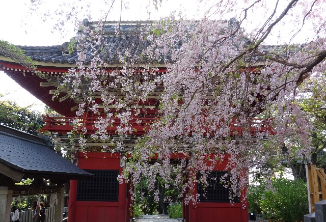 f:id:makoako:20210917002400j:plain