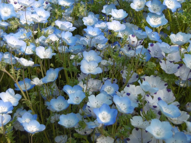 f:id:makoako:20210918092622j:plain