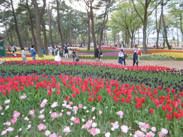 f:id:makoako:20210918092656j:plain