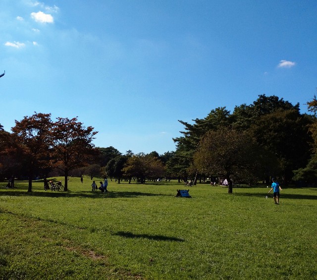 f:id:makoako:20210921003015j:plain