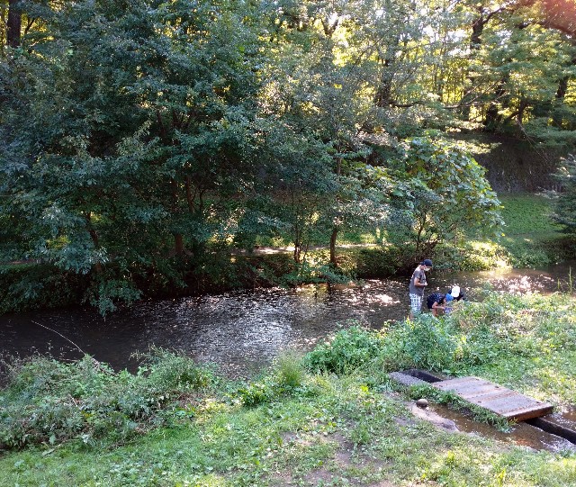 f:id:makoako:20210921003405j:plain