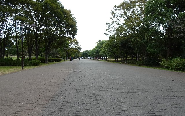f:id:makoako:20210926002235j:plain