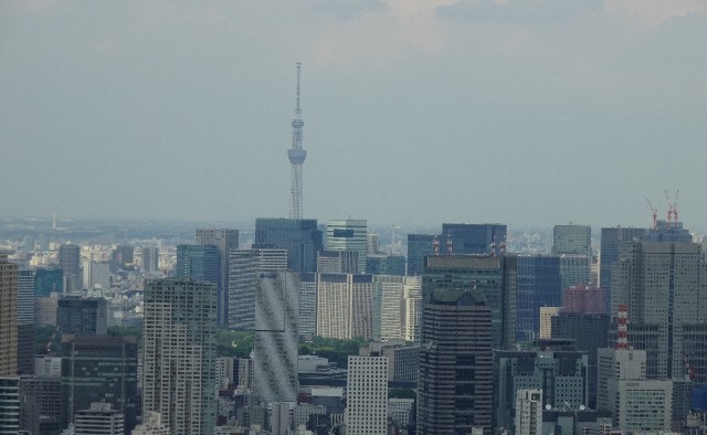 f:id:makoako:20210927121135j:plain