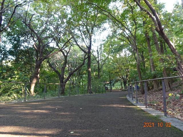 f:id:makoako:20211003004531j:plain