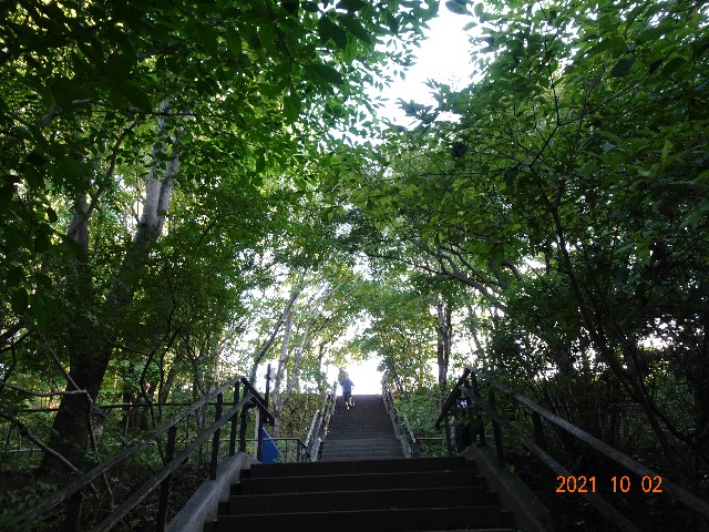 f:id:makoako:20211003004753j:plain