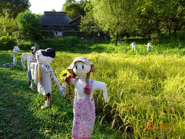 f:id:makoako:20211003004852j:plain