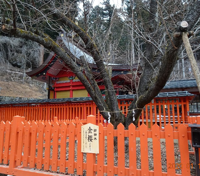 f:id:makoako:20211004181457j:plain