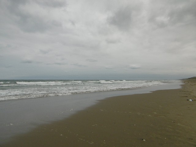 f:id:makoako:20211011175632j:plain