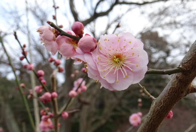 f:id:makoako:20211011180036j:plain