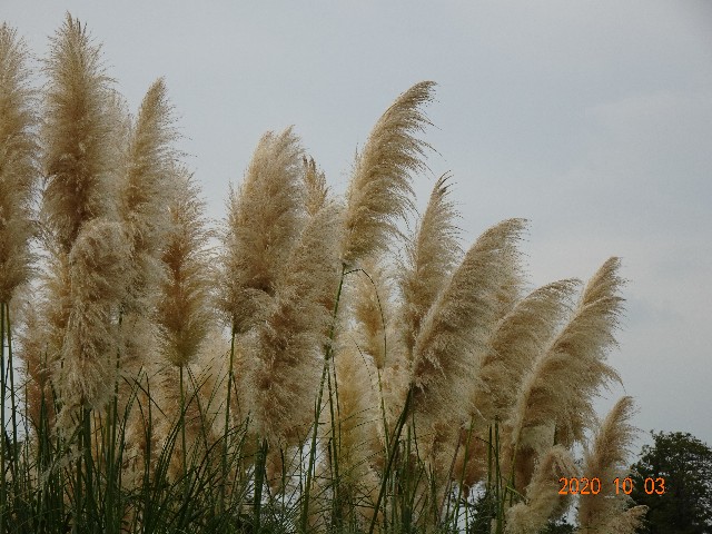 f:id:makoako:20211014002351j:plain
