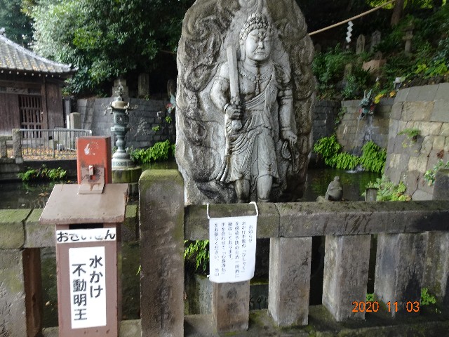 f:id:makoako:20211014235600j:plain
