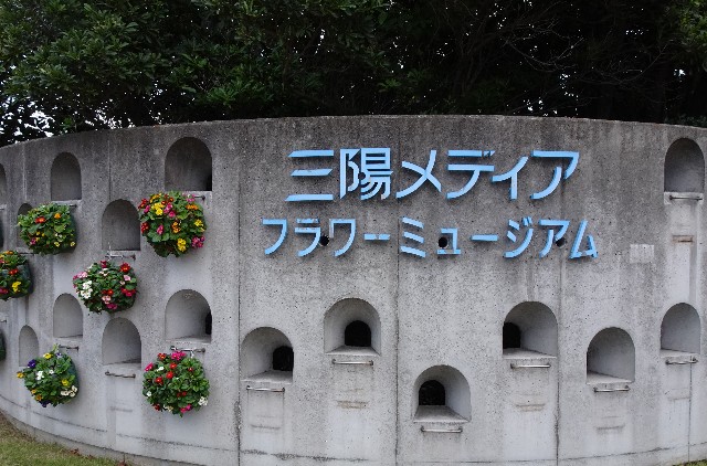 f:id:makoako:20211017010207j:plain