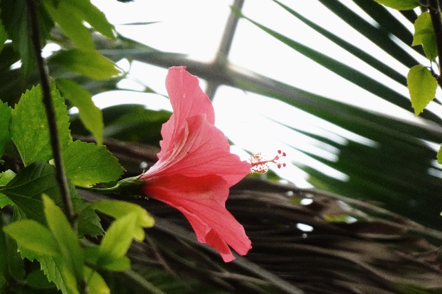 f:id:makoako:20211017010442j:plain