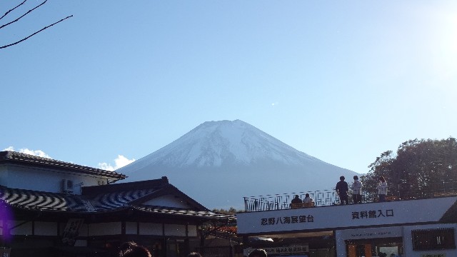 f:id:makoako:20211024011554j:plain