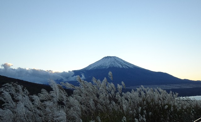 f:id:makoako:20211024011712j:plain