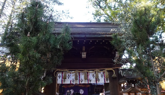 f:id:makoako:20211026002738j:plain