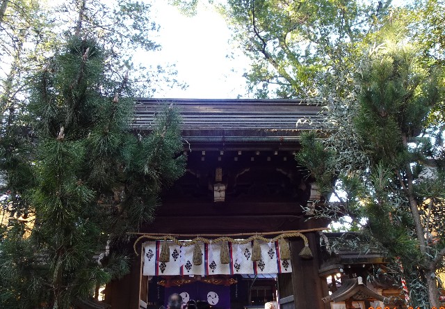 f:id:makoako:20211029004933j:plain