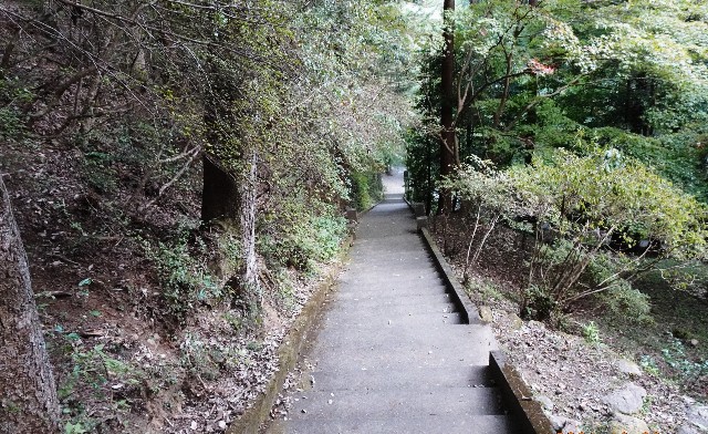 f:id:makoako:20211031093734j:plain