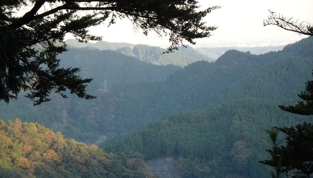 f:id:makoako:20211031094202j:plain