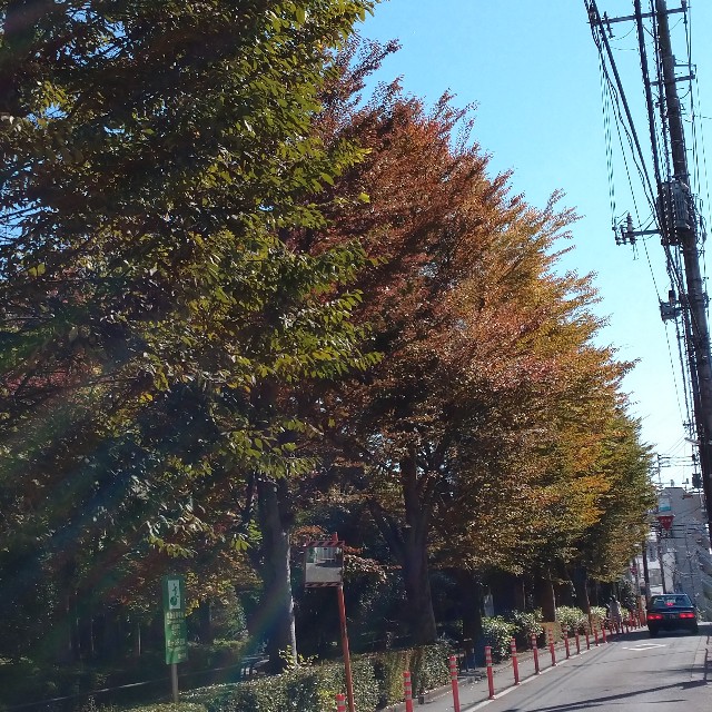 f:id:makoako:20211101000212j:plain
