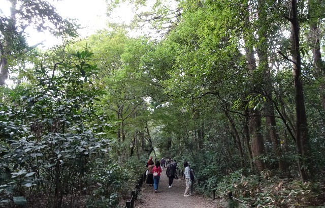 f:id:makoako:20211104070404j:plain