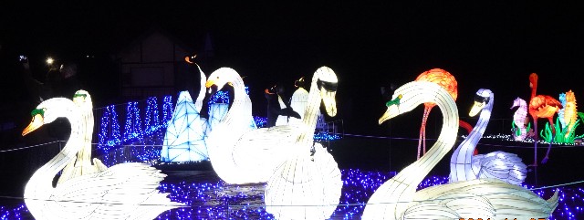 f:id:makoako:20211106104814j:plain