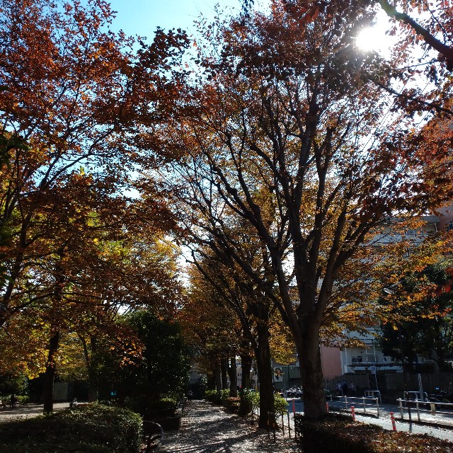 f:id:makoako:20211107001932j:plain