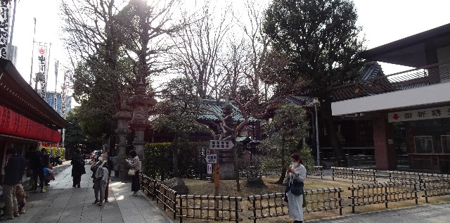 f:id:makoako:20211109000726j:plain