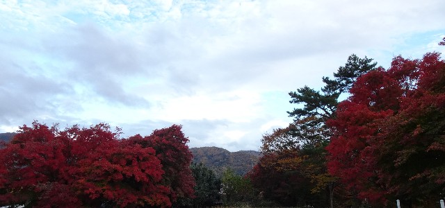 f:id:makoako:20211110123010j:plain