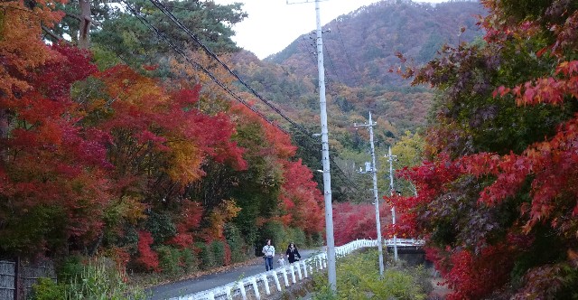 f:id:makoako:20211110123035j:plain