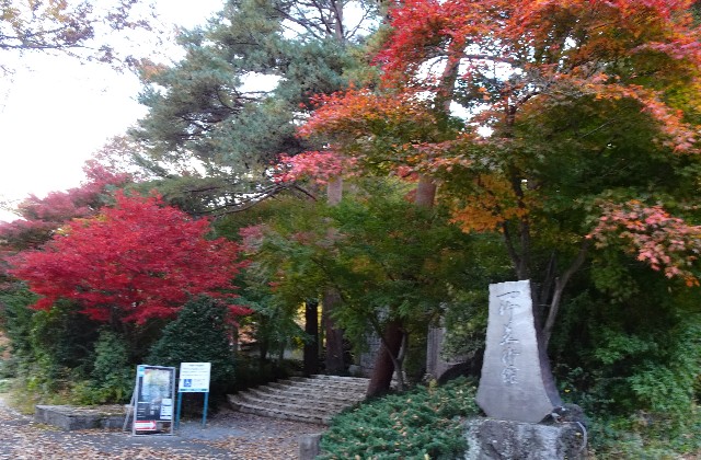 f:id:makoako:20211110123255j:plain