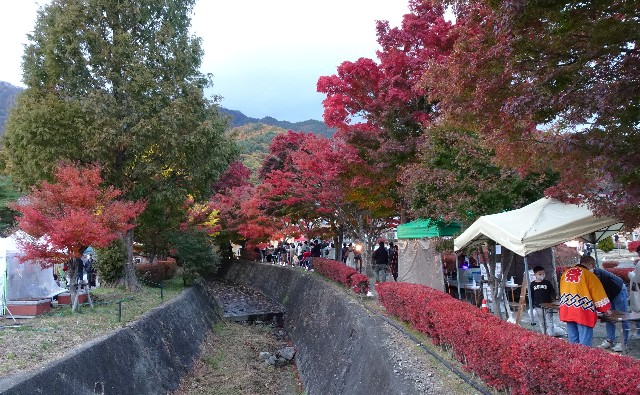 f:id:makoako:20211110123344j:plain