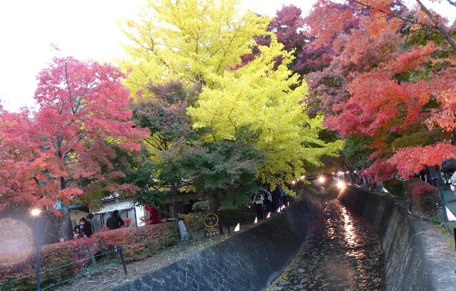 f:id:makoako:20211110123351j:plain